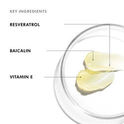 Resveratrol B E Night Serum 