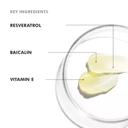 Resveratrol B E Night Serum 