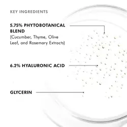 Phyto Corrective Essence Mist