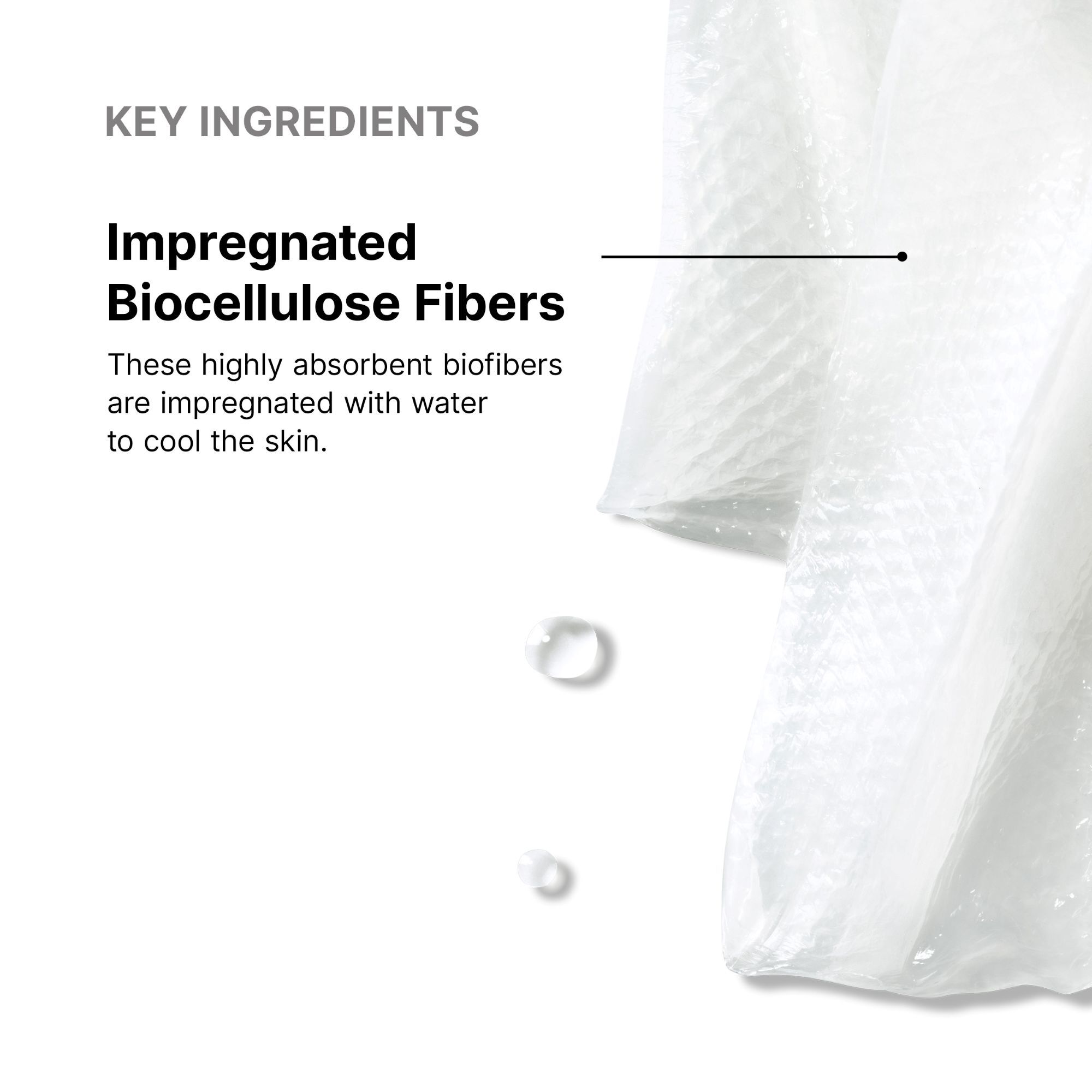 Biocellulose Restorative Masque