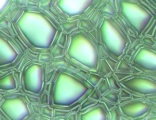 Abstract close-up of iridescent bubbles arranged in a honeycomb pattern with a greenish hue.