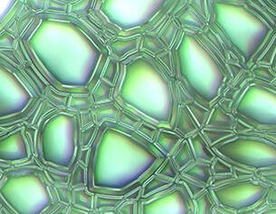 Abstract close-up of iridescent bubbles arranged in a honeycomb pattern with a greenish hue.