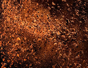 Close-up of a textured, rusted metal surface showcasing deep browns and oranges with organic patterns.