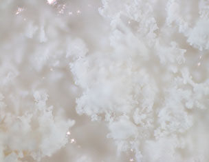 Close-up of fluffy, white crystalline structures against a soft, blurred background, resembling snow or frosted ice.