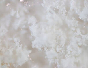 Close-up of fluffy, white crystalline structures against a soft, blurred background, resembling snow or frosted ice.