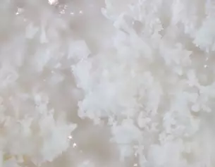Close-up of fluffy, white crystalline structures against a soft, blurred background, resembling snow or frosted ice.