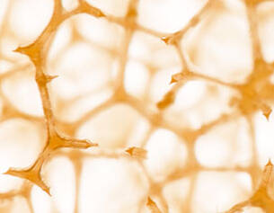 Close-up of a honeycomb structure showcasing intricate hexagonal patterns in a warm orange hue.