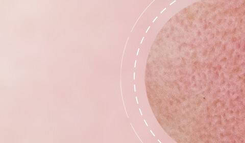 Close-up of a textured round surface against a soft pink background, with a subtle circular design element.