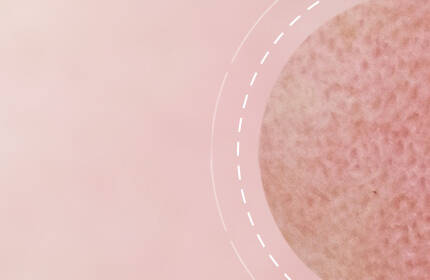 Close-up of a textured round surface against a soft pink background, with a subtle circular design element.