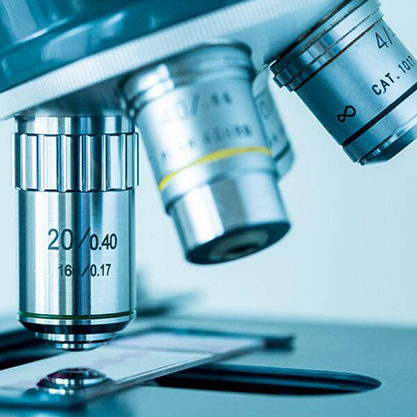 CLINICAL STUDIES