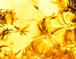 Abstract close-up of golden liquid with distorted plant silhouettes, creating a shimmering, textured effect.