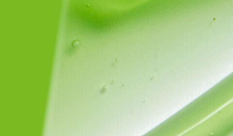 A smooth gradient background featuring vibrant shades of green, with a subtle wave of lighter green texture.