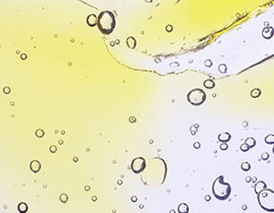 Close-up of bubbles in a vibrant yellow and clear liquid, creating an abstract and dynamic visual effect.