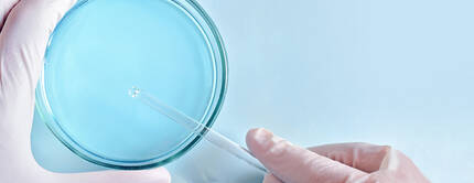 A gloved hand holding a dropper above a petri dish containing a blue liquid.