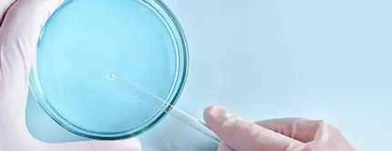 A gloved hand holding a dropper above a petri dish containing a blue liquid.