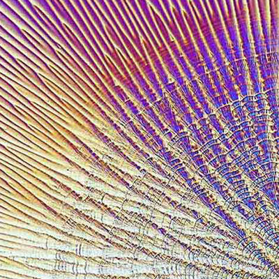 Close up of the ingredient ascorbic acid - iridescent and textured
